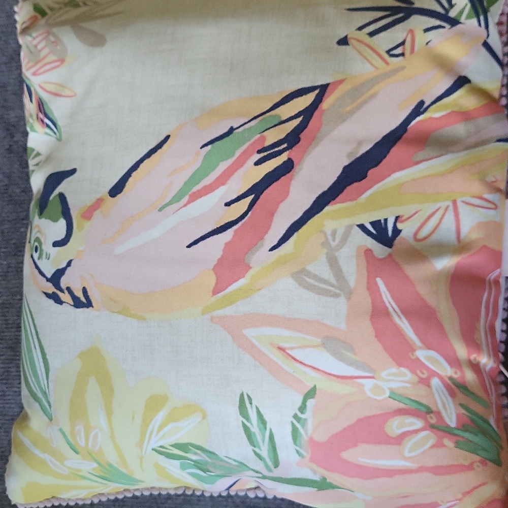 Allen & Roth Outdoor Pillow